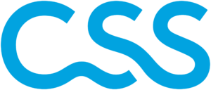 Logo der CSS